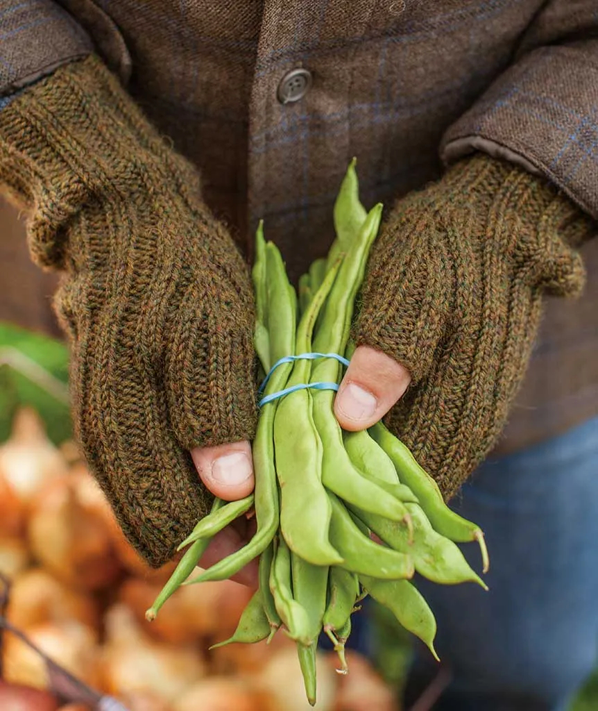 Ferryboat Mitts Using Berroco Ultra Alpaca