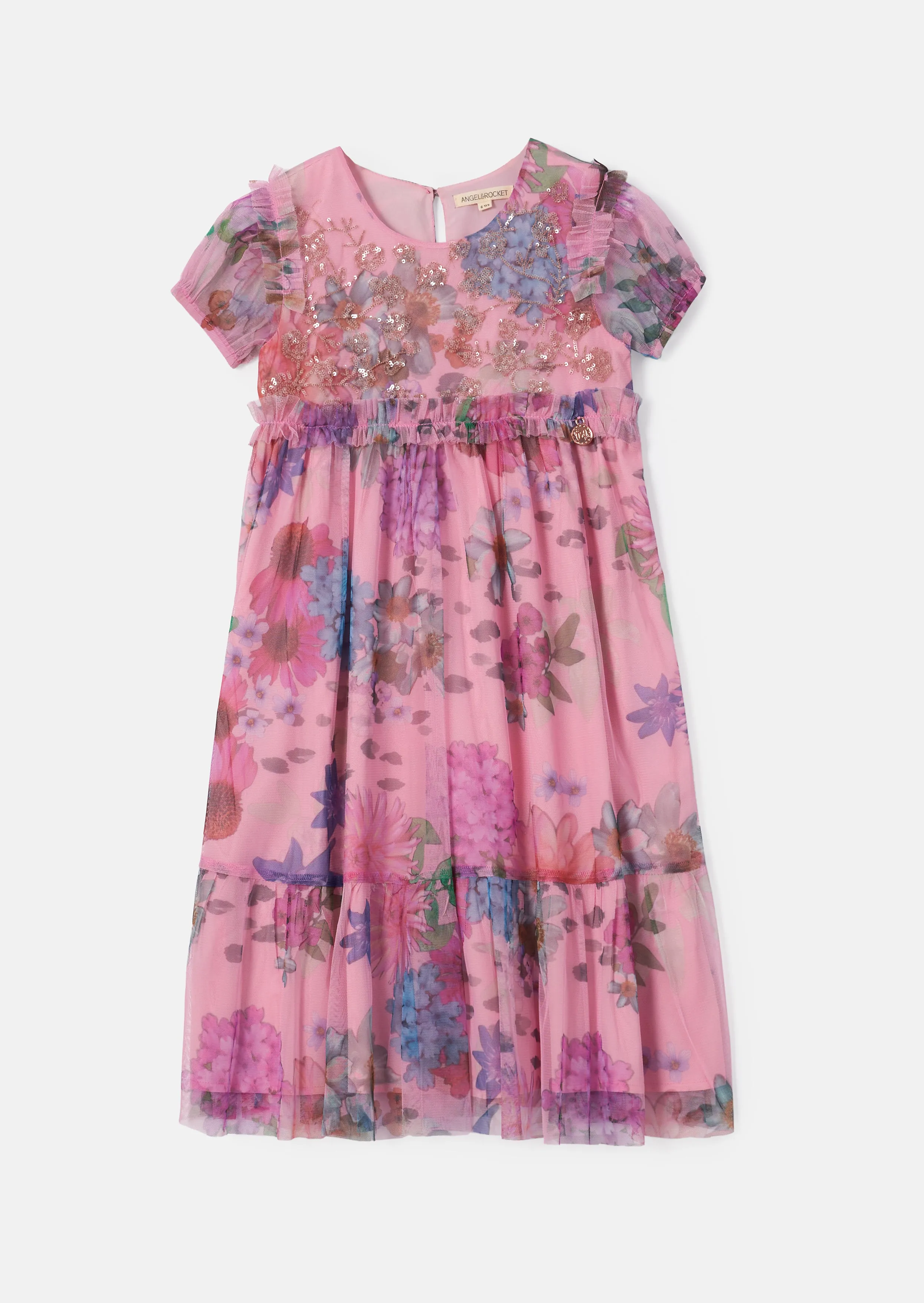 Luisa Pink Embroidered Yolk Mesh Dress